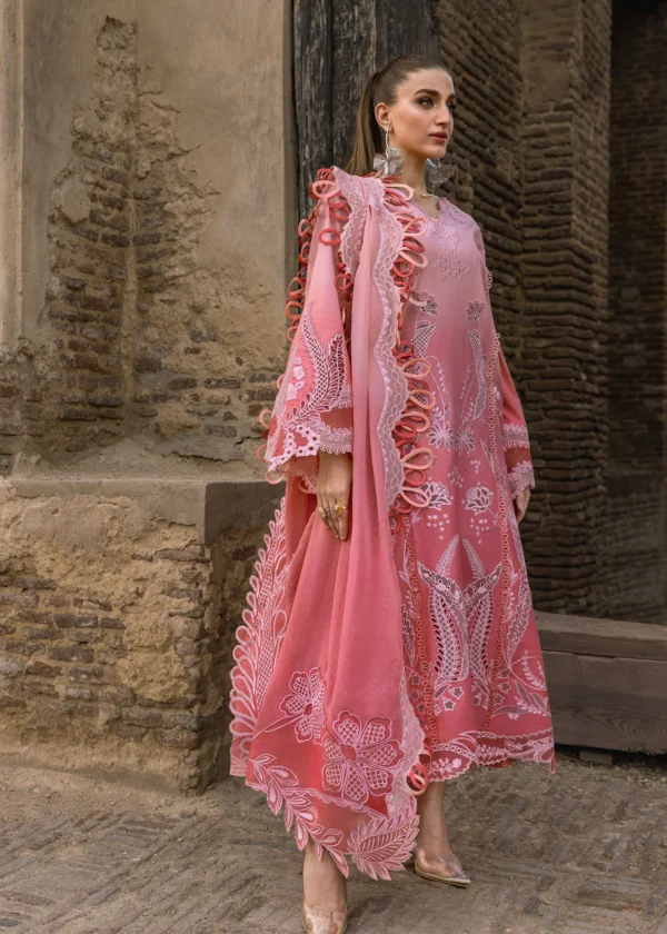 Crimson ALL THINGS OMBRE - D1B - Image 3
